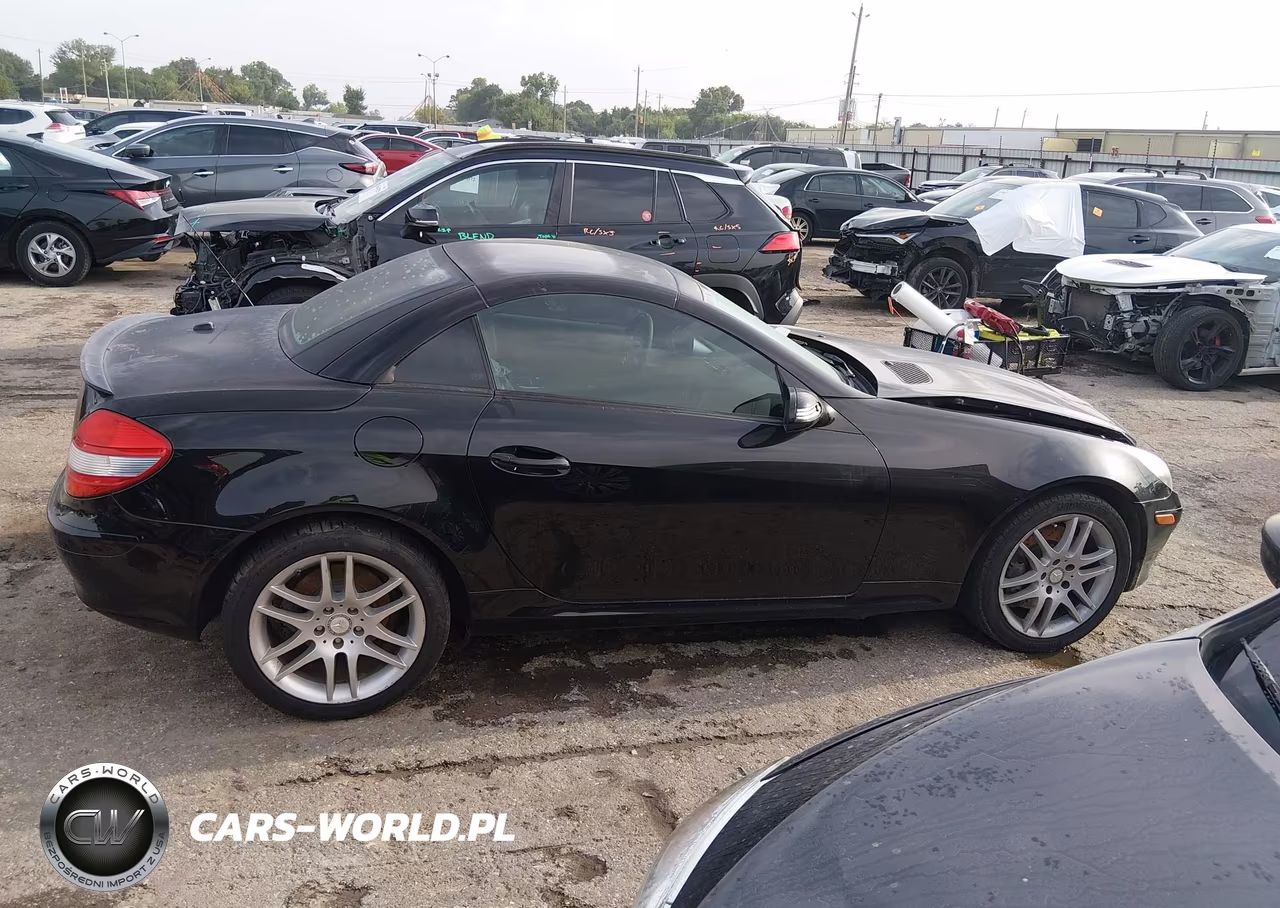 2008 Mercedes-Benz Slk 350 VIN:WDBWK56F68F187006 - 12