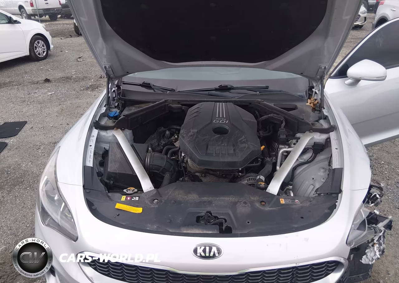 2018 Kia Stinger Premium VIN:KNAE25LAXJ6023010 - 10