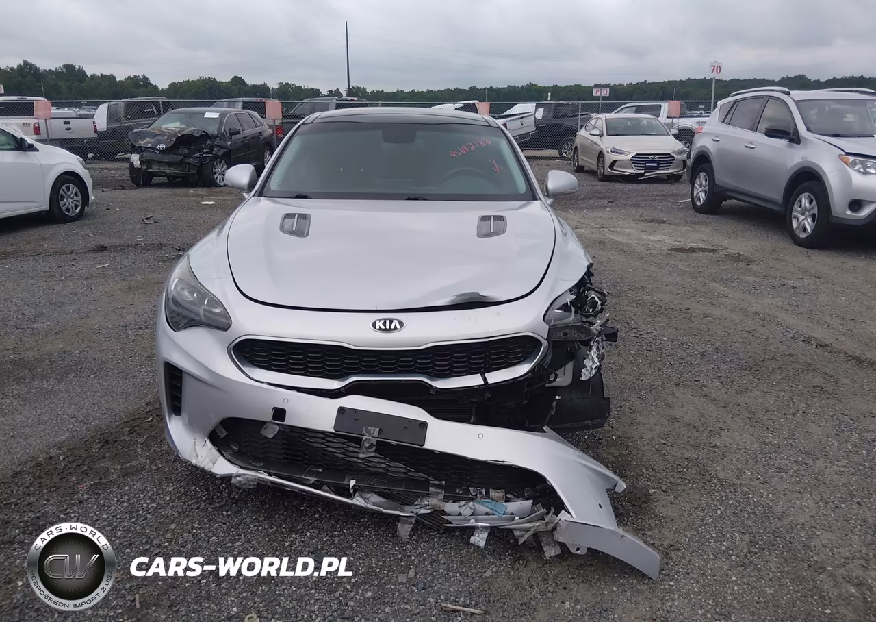 2018 Kia Stinger Premium VIN:KNAE25LAXJ6023010 - 12