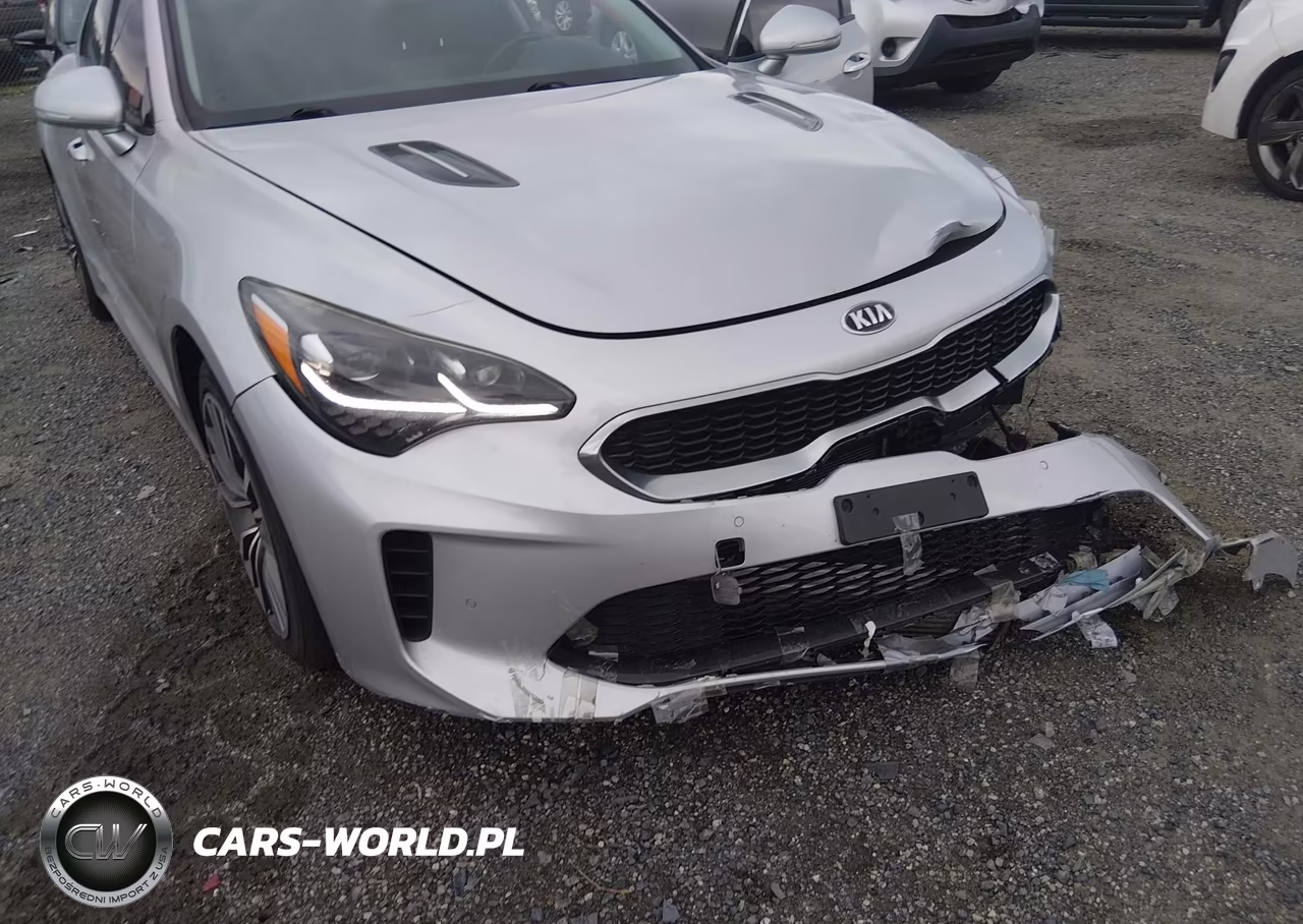 2018 Kia Stinger Premium VIN:KNAE25LAXJ6023010 - 6