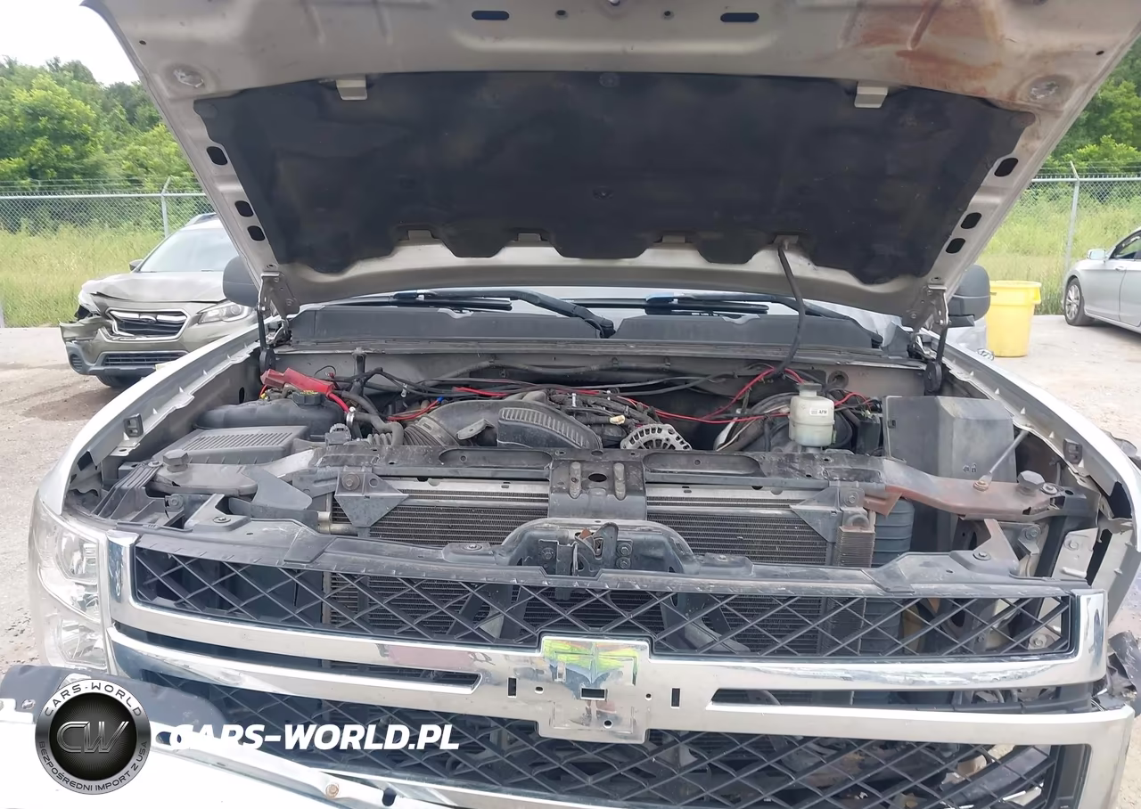 2010 Chevrolet Silverado 1500 Lt VIN:3GCRCSE05AG263603 - 10