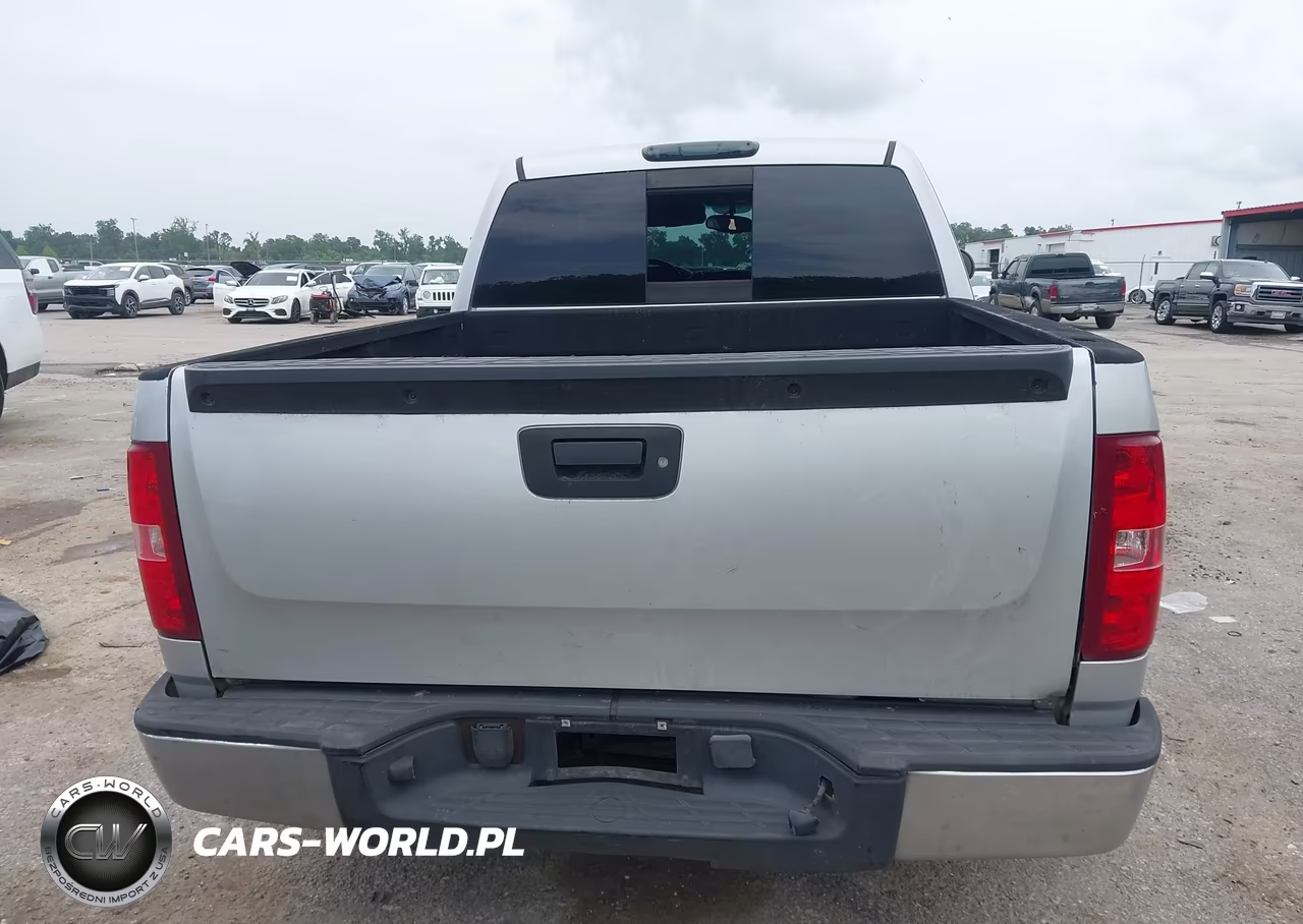 2010 Chevrolet Silverado 1500 Lt VIN:3GCRCSE05AG263603 - 16
