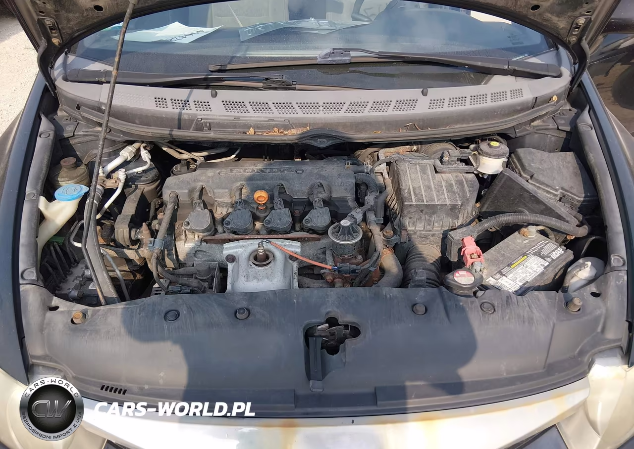 2009 Honda Civic Lx VIN:19XFA165X9E046830 - 10