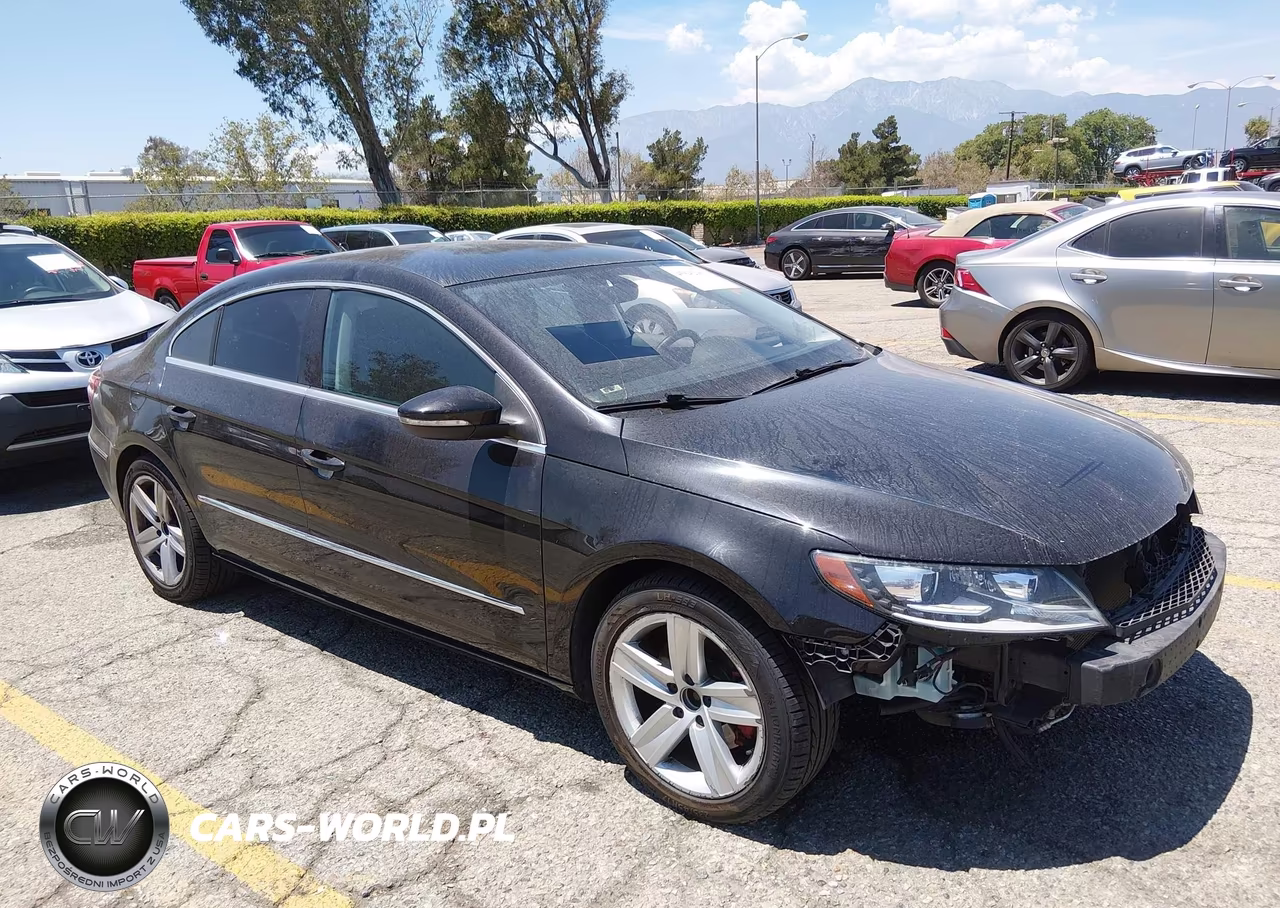 2017 Volkswagen Cc 2.0T Sport VIN:WVWKP7AN4HE500667 - 1