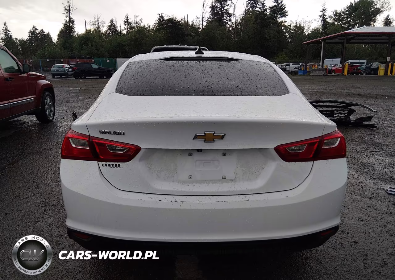 2023 Chevrolet Malibu Fwd Ls VIN:1G1ZB5ST7PF118343 - 17