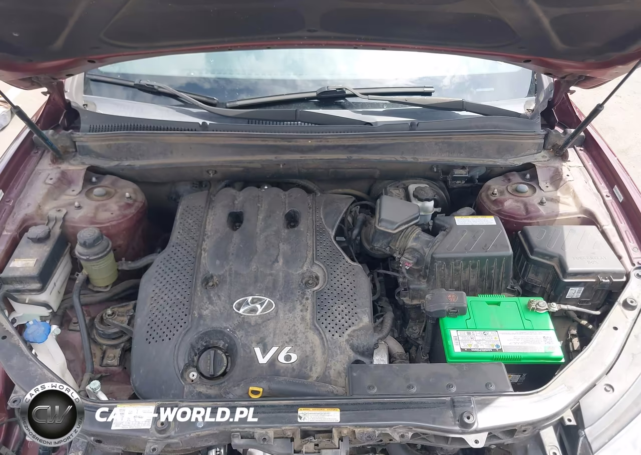 2008 Hyundai Santa Fe Gls VIN:5NMSG13D98H164447 - 10