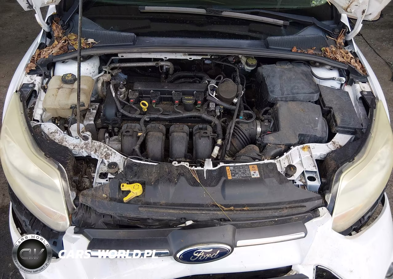 2014 Ford Focus Se VIN:1FADP3K21EL302485 - 10