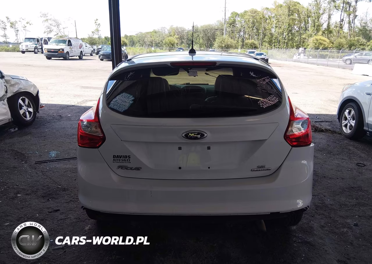 2014 Ford Focus Se VIN:1FADP3K21EL302485 - 16