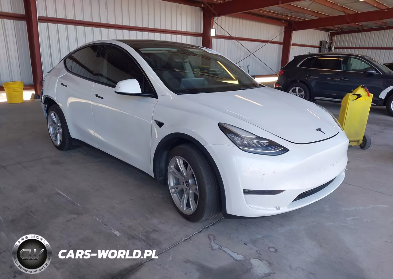 2020 Tesla Model Y Long Range Dual Motor All-Wheel Drive