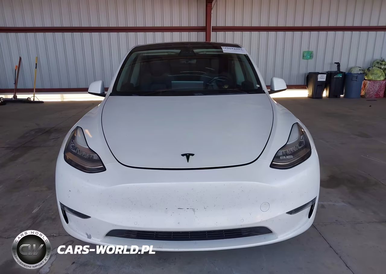 2020 Tesla Model Y Long Range Dual Motor All-Wheel Drive VIN:5YJYGDEE1LF028230 - 12