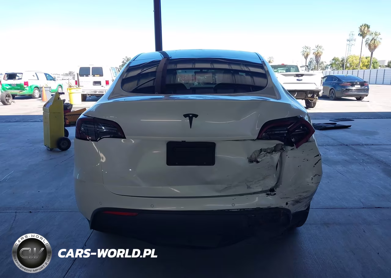 2020 Tesla Model Y Long Range Dual Motor All-Wheel Drive VIN:5YJYGDEE1LF028230 - 16