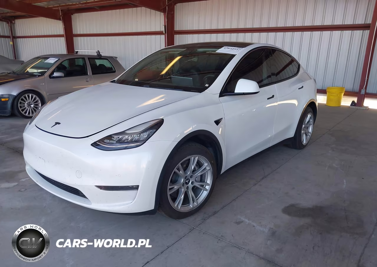2020 Tesla Model Y Long Range Dual Motor All-Wheel Drive VIN:5YJYGDEE1LF028230 - 2