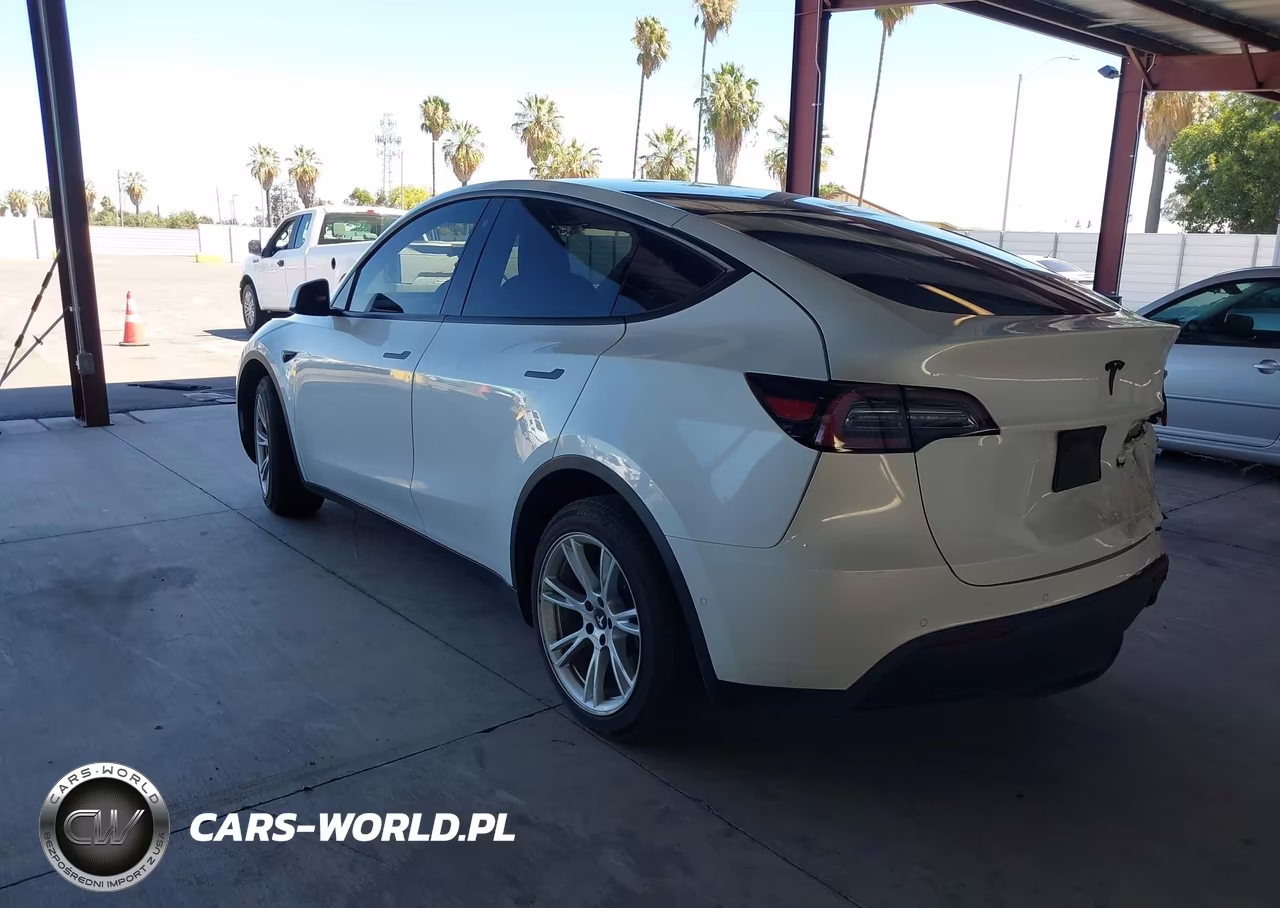2020 Tesla Model Y Long Range Dual Motor All-Wheel Drive VIN:5YJYGDEE1LF028230 - 3