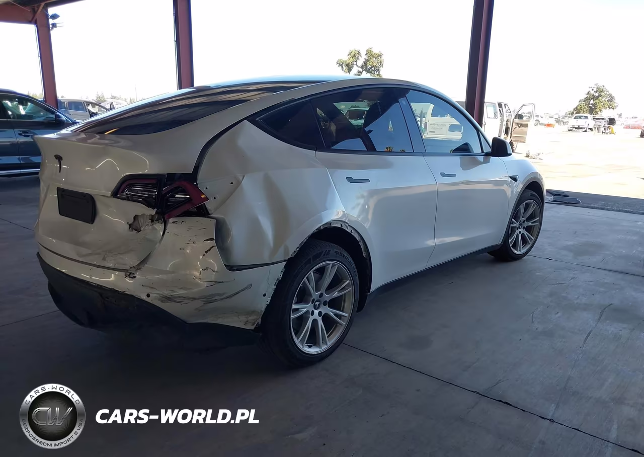 2020 Tesla Model Y Long Range Dual Motor All-Wheel Drive VIN:5YJYGDEE1LF028230 - 4