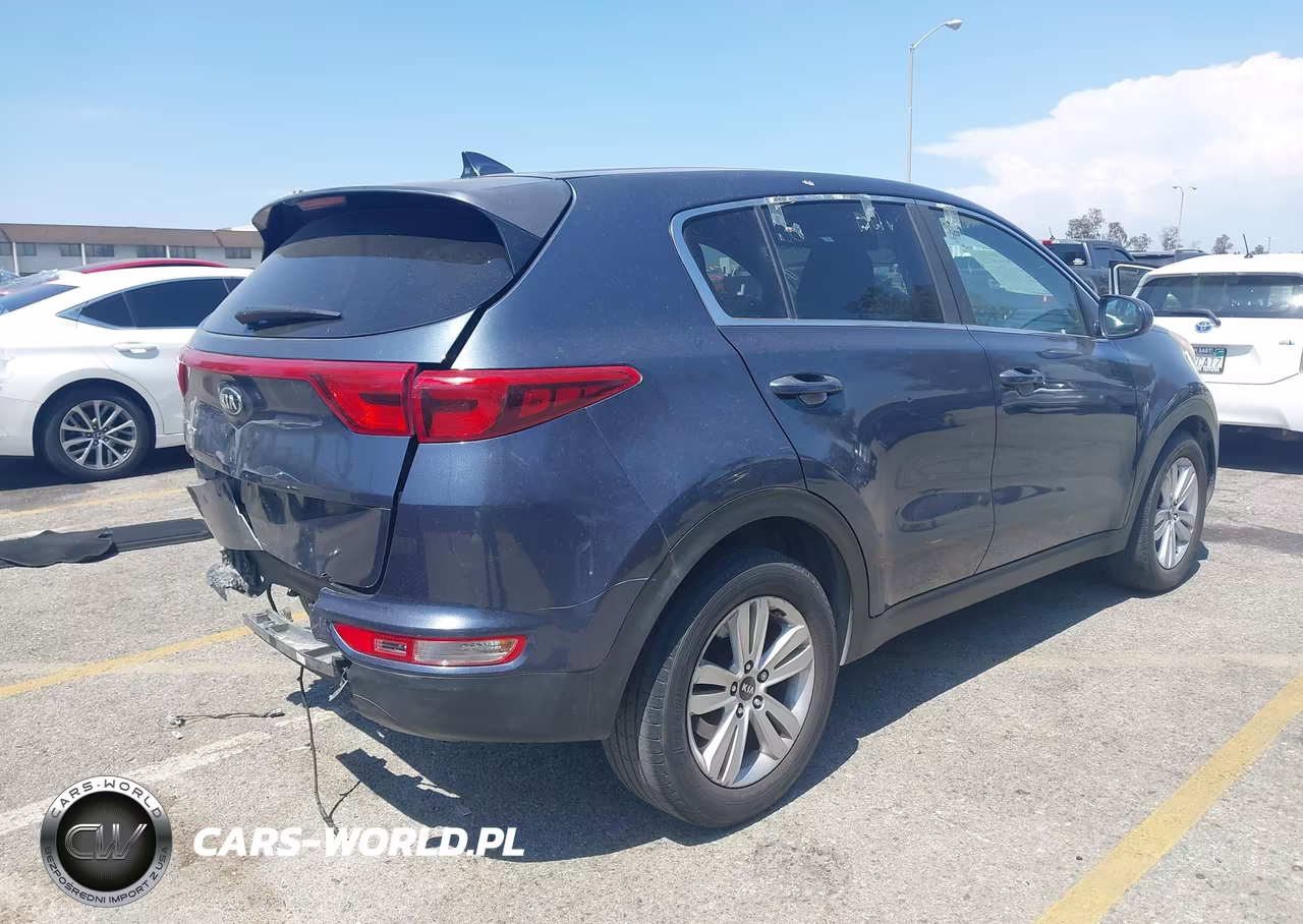 2017 Kia Sportage Lx VIN:KNDPM3AC5H7050604 - 4