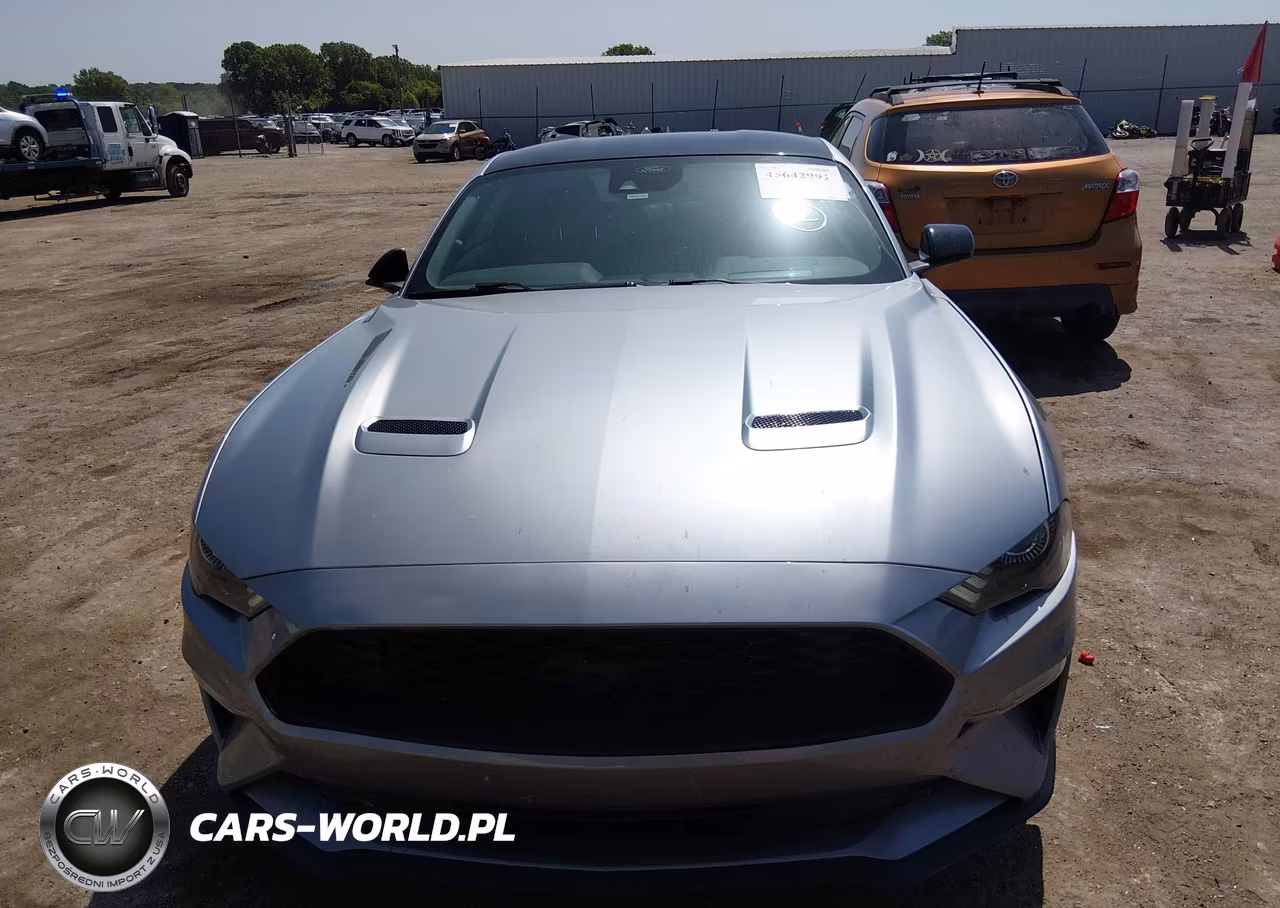 2021 Ford Mustang Ecoboost Fastback VIN:1FA6P8TH3M5134814 - 12
