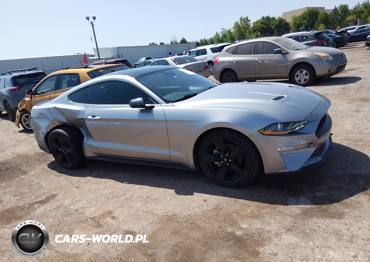 2021 Ford Mustang Ecoboost Fastback VIN:1FA6P8TH3M5134814 - 13