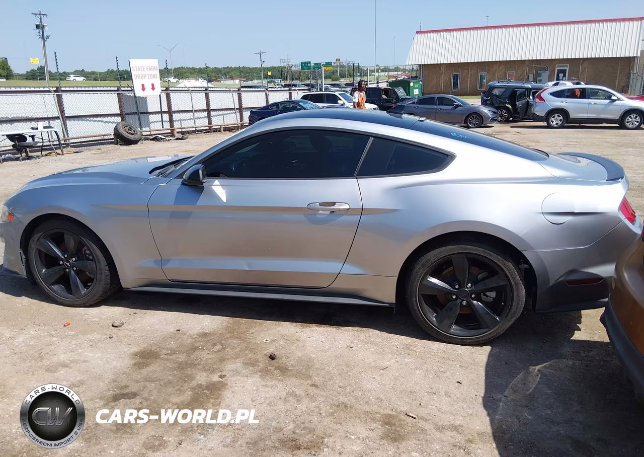 2021 Ford Mustang Ecoboost Fastback VIN:1FA6P8TH3M5134814 - 14