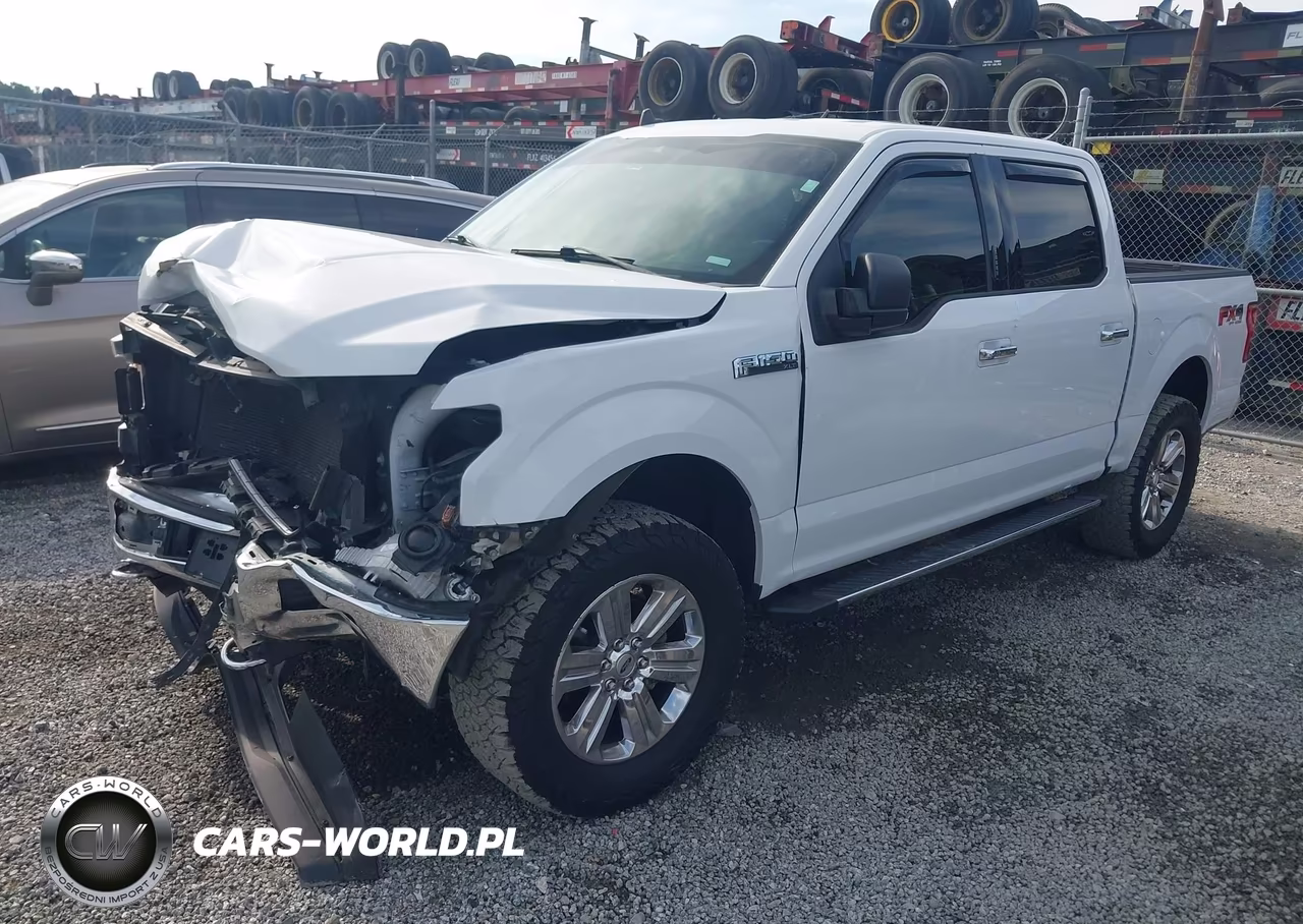 2019 Ford F-150 Xlt VIN:1FTEW1E45KFA74021 - 2