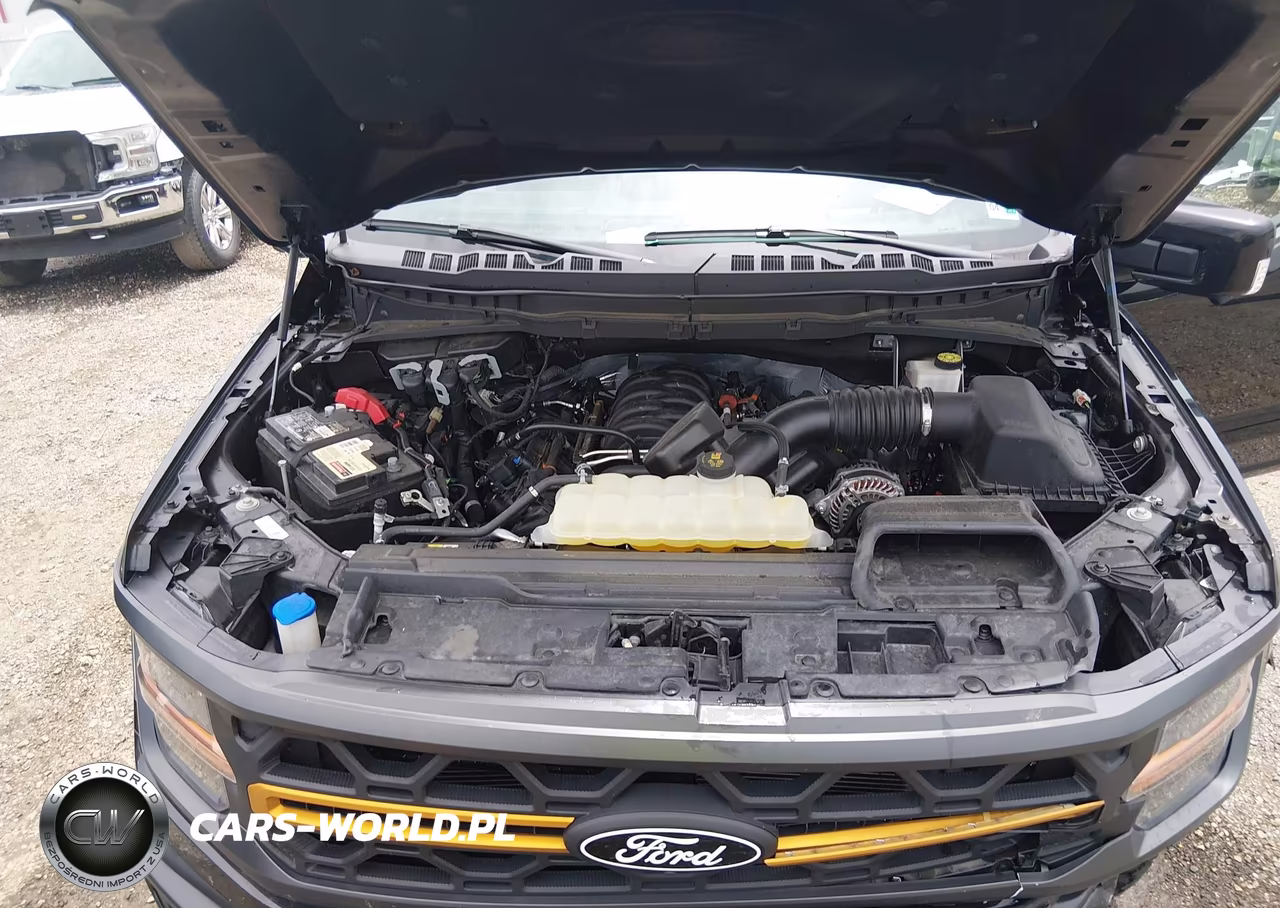 2024 Ford F-150 Tremor VIN:1FTFW4L5XRFC06895 - 10