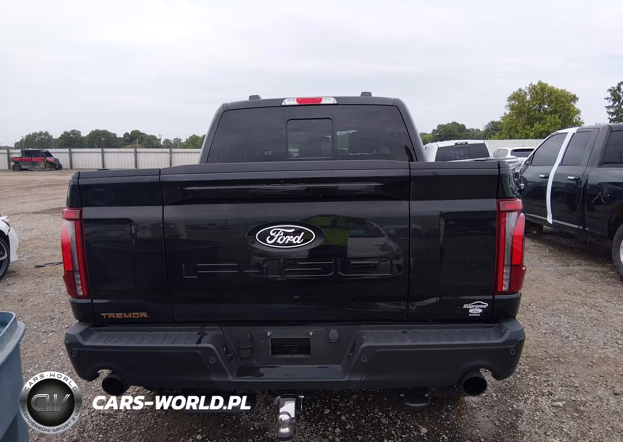 2024 Ford F-150 Tremor VIN:1FTFW4L5XRFC06895 - 16
