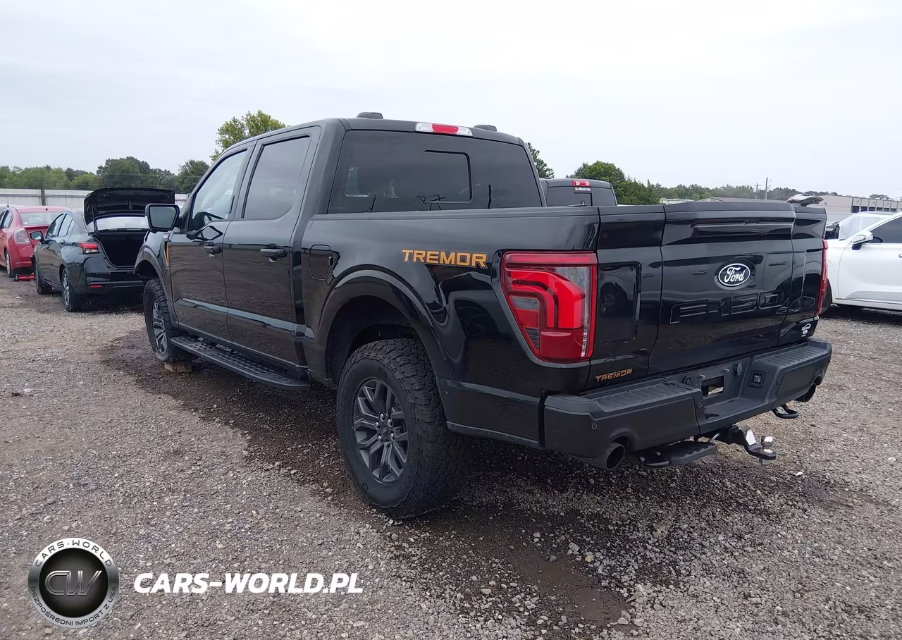 2024 Ford F-150 Tremor VIN:1FTFW4L5XRFC06895 - 3