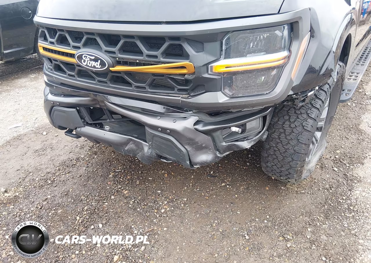 2024 Ford F-150 Tremor VIN:1FTFW4L5XRFC06895 - 6
