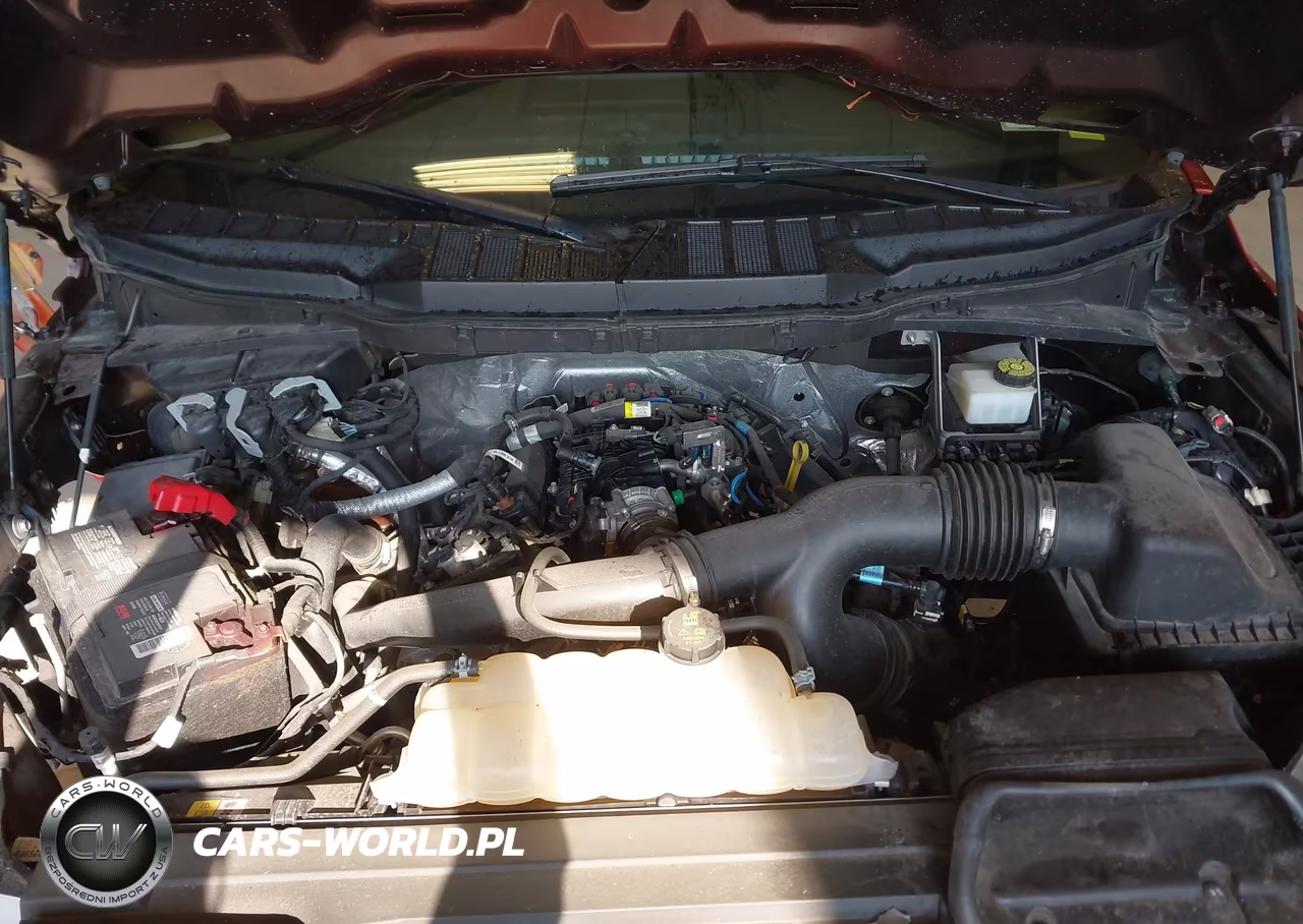 2023 Ford F-150 Xl VIN:1FTEW1EP7PKD54239 - 10