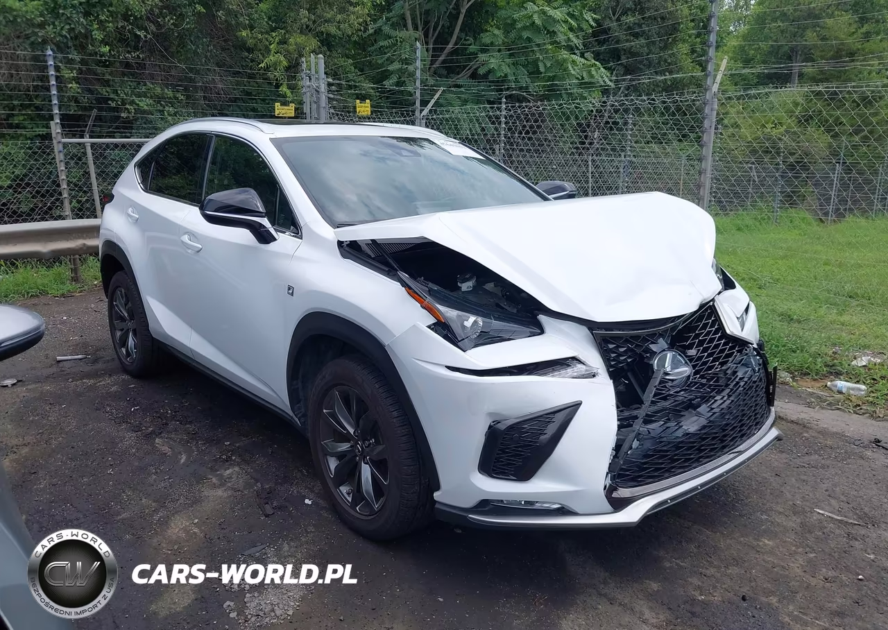 2021 Lexus Nx 300 F Sport