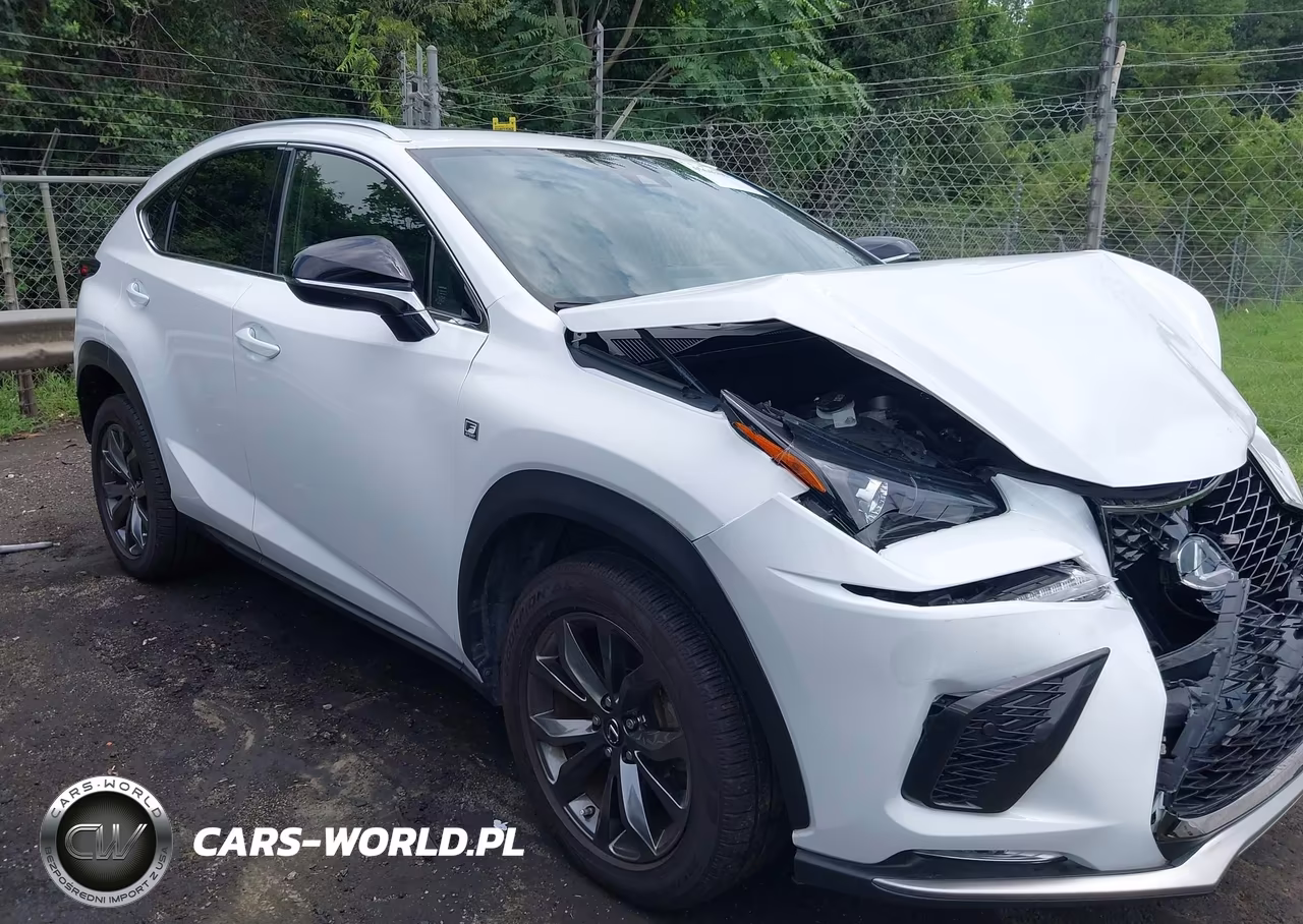 2021 Lexus Nx 300 F Sport VIN:JTJSARBZ6M5032348 - 13