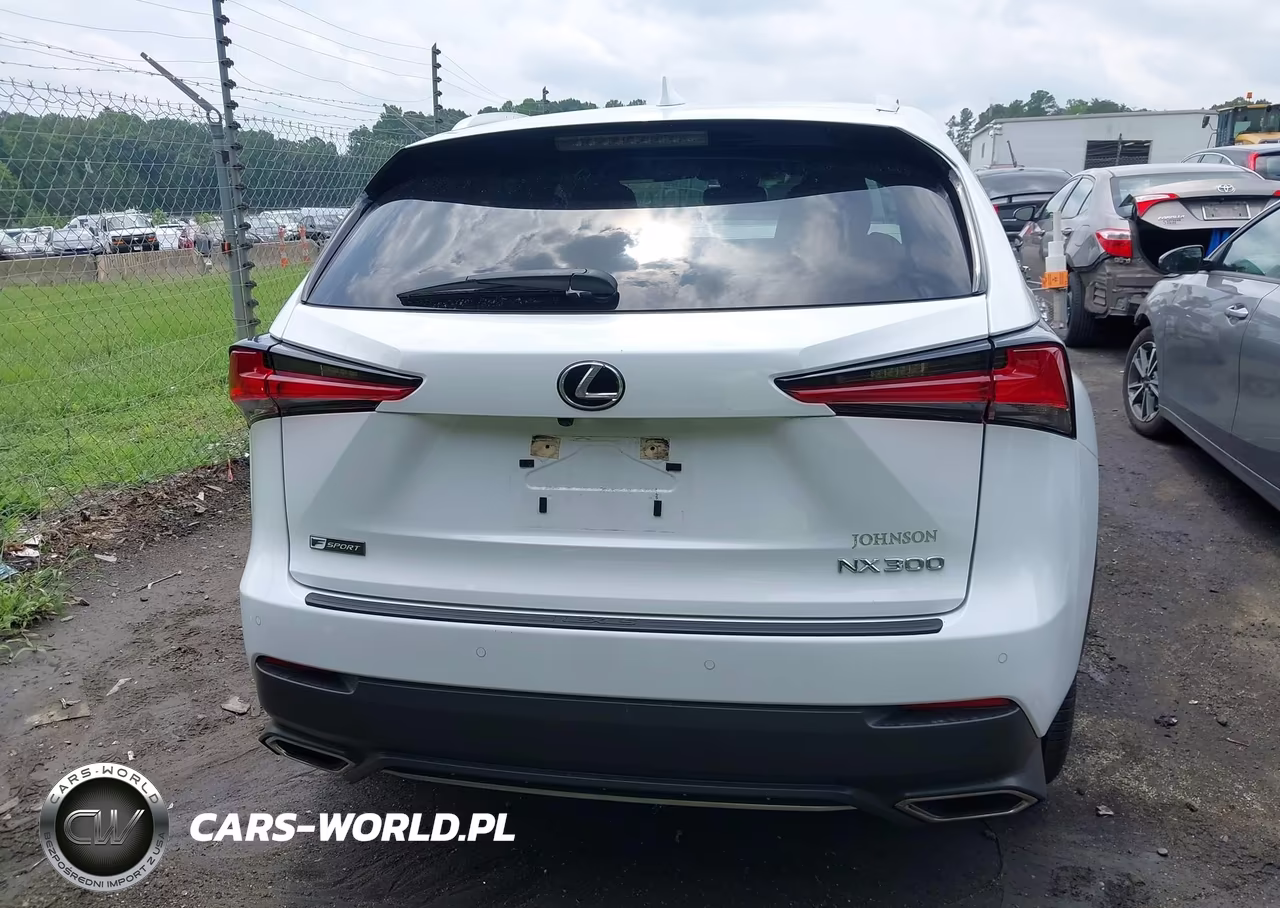 2021 Lexus Nx 300 F Sport VIN:JTJSARBZ6M5032348 - 16
