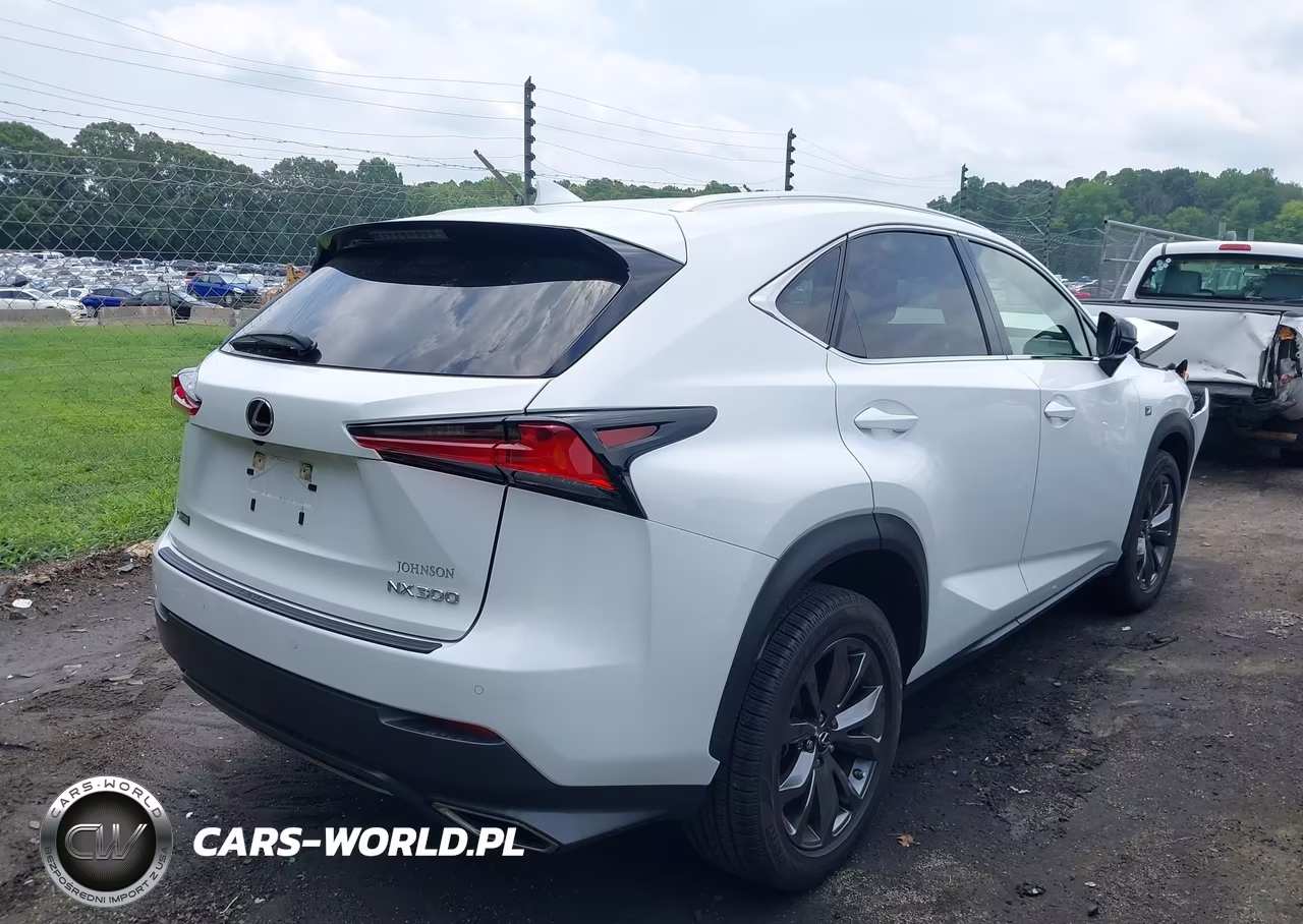 2021 Lexus Nx 300 F Sport VIN:JTJSARBZ6M5032348 - 4