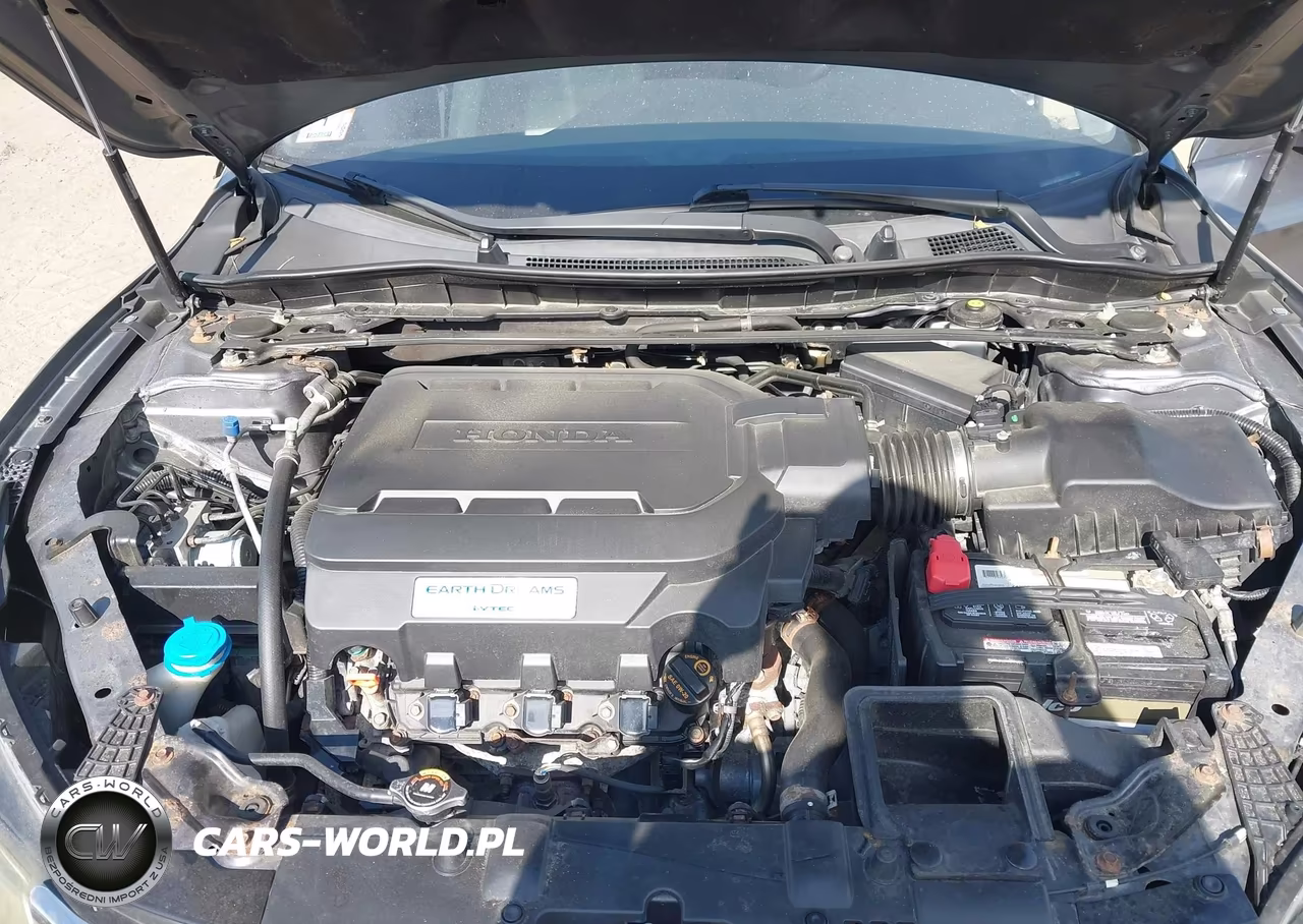 2013 Honda Accord Ex-L V-6 VIN:1HGCR3F89DA048034 - 10