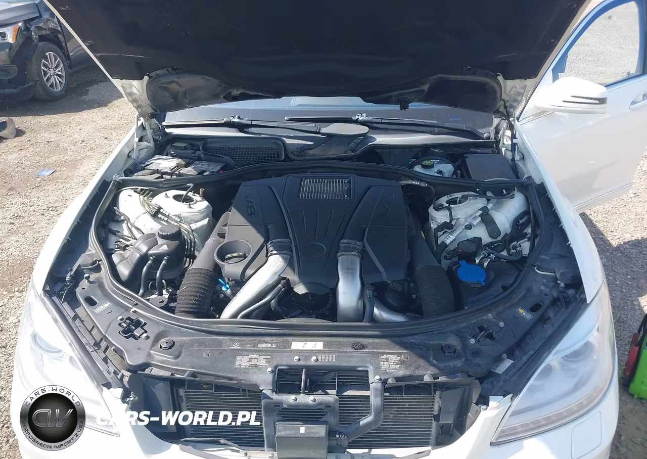 2013 Mercedes-Benz S 550 VIN:WDDNG7DB6DA504810 - 10