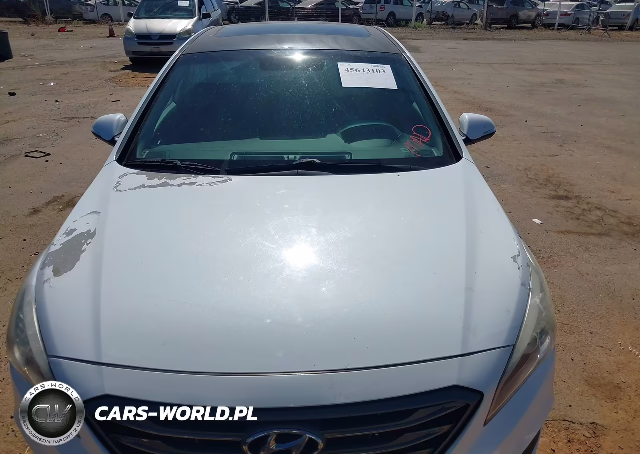 2017 Hyundai Sonata Sport VIN:5NPE34AF6HH555587 - 12