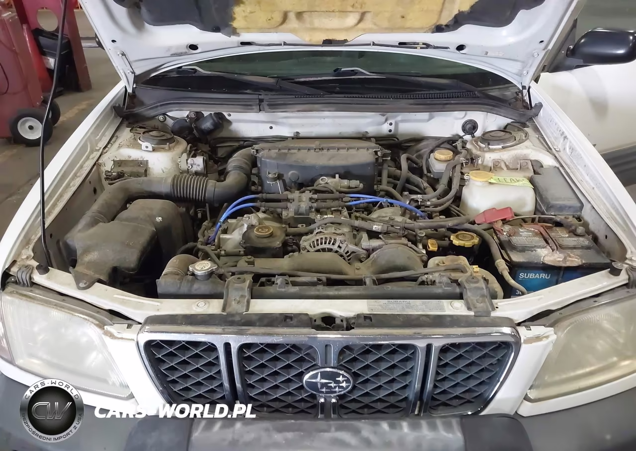 2002 Subaru Forester L VIN:JF1SF635X2H715508 - 10