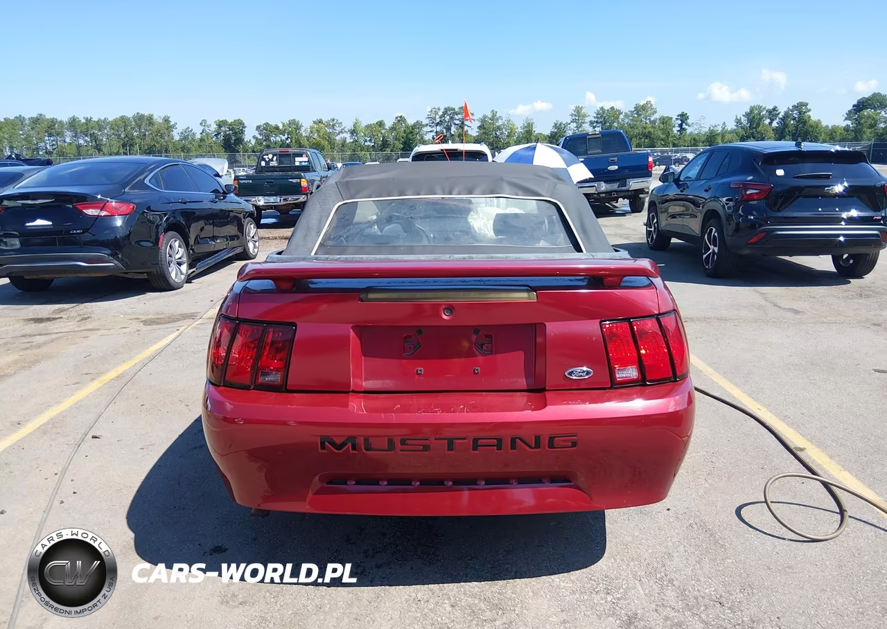 2004 Ford Mustang VIN:1FAFP44644F196769 - 16
