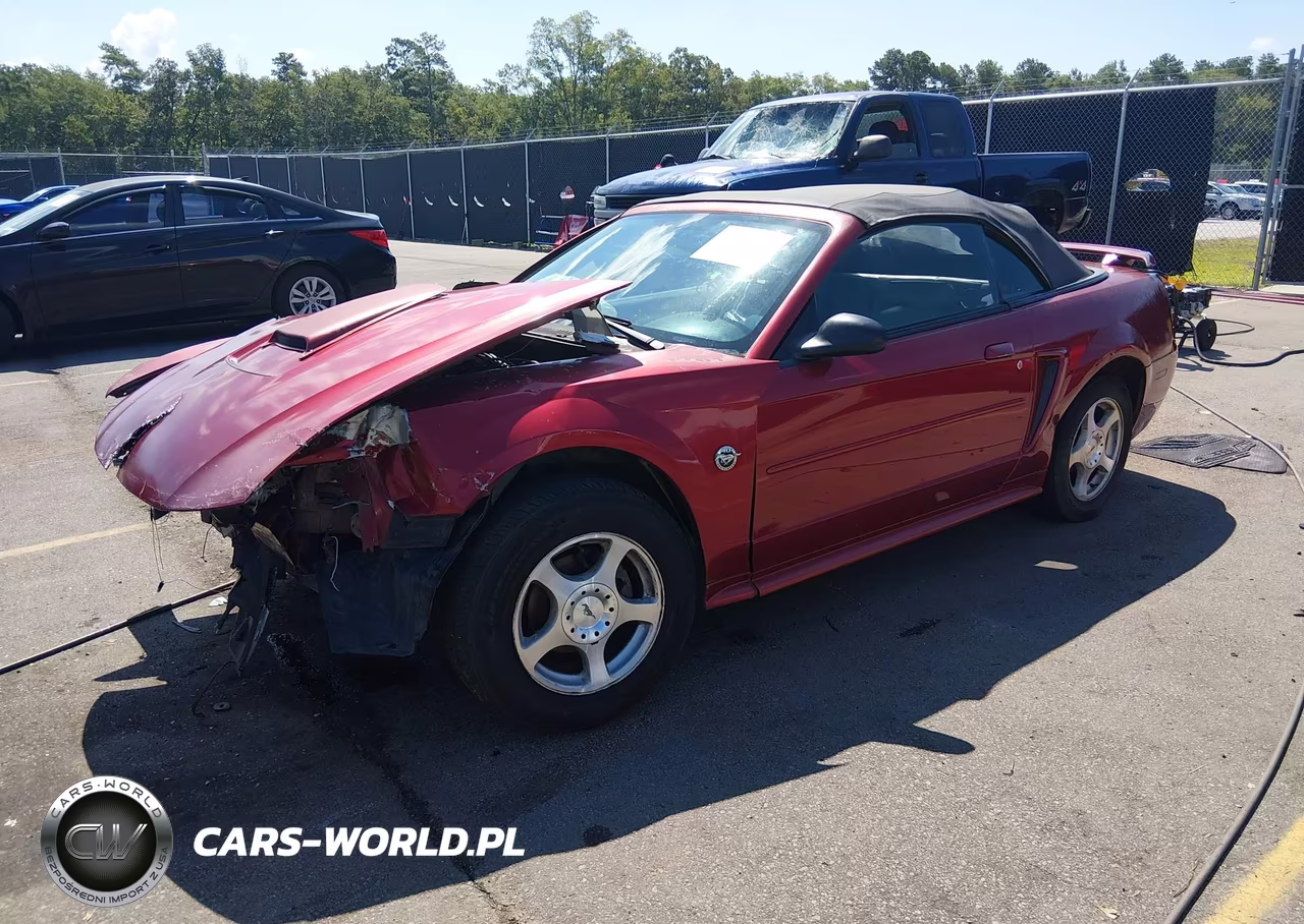 2004 Ford Mustang VIN:1FAFP44644F196769 - 2