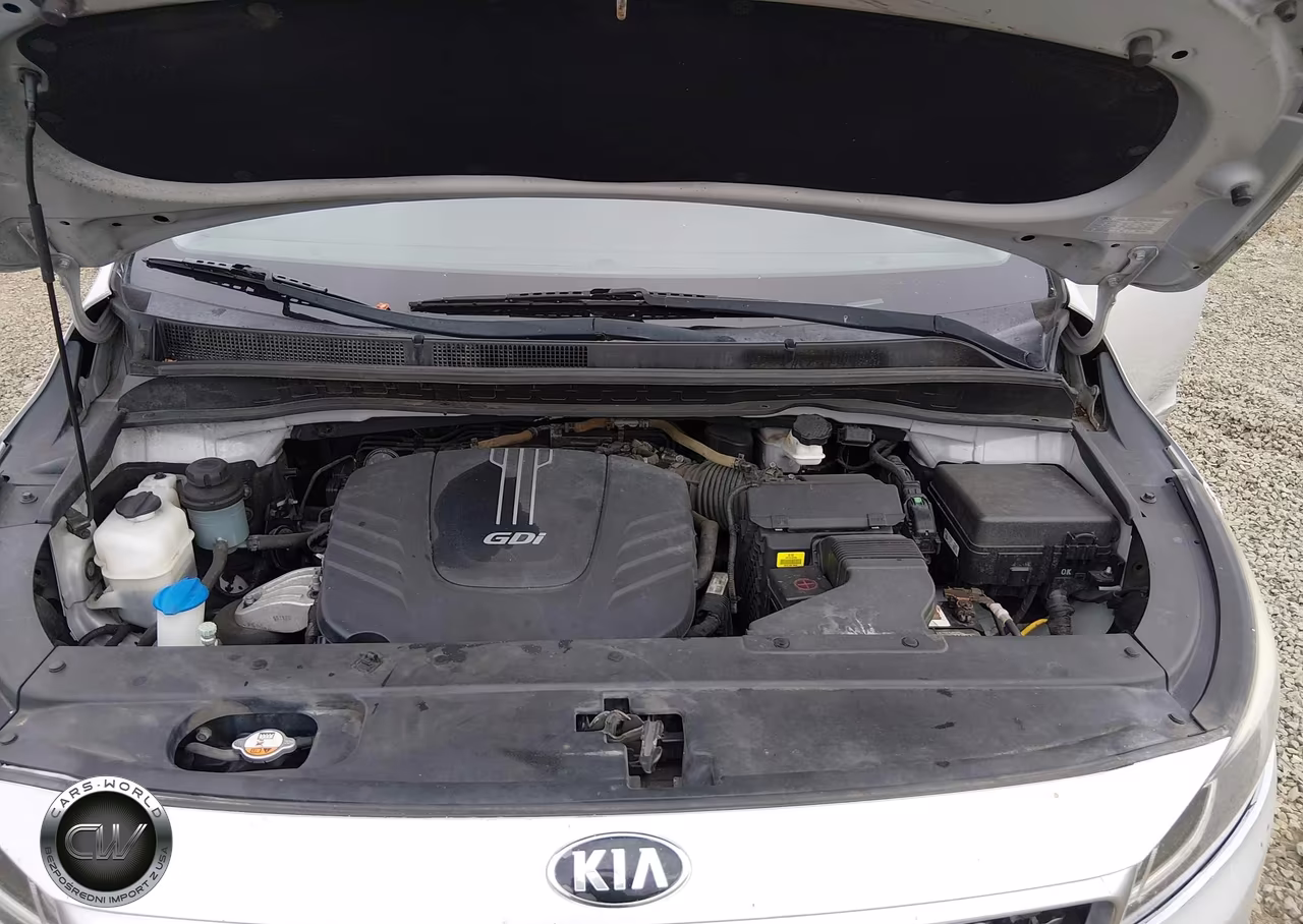 2016 Kia Sedona L VIN:KNDMA5C14G6182664 - 10