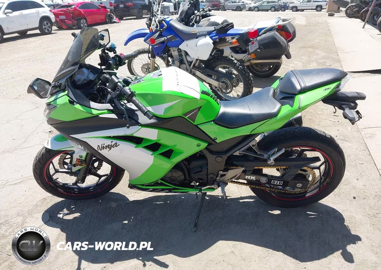 2014 Kawasaki Ex300 B VIN:JKAEX8B10EA007564 - 13