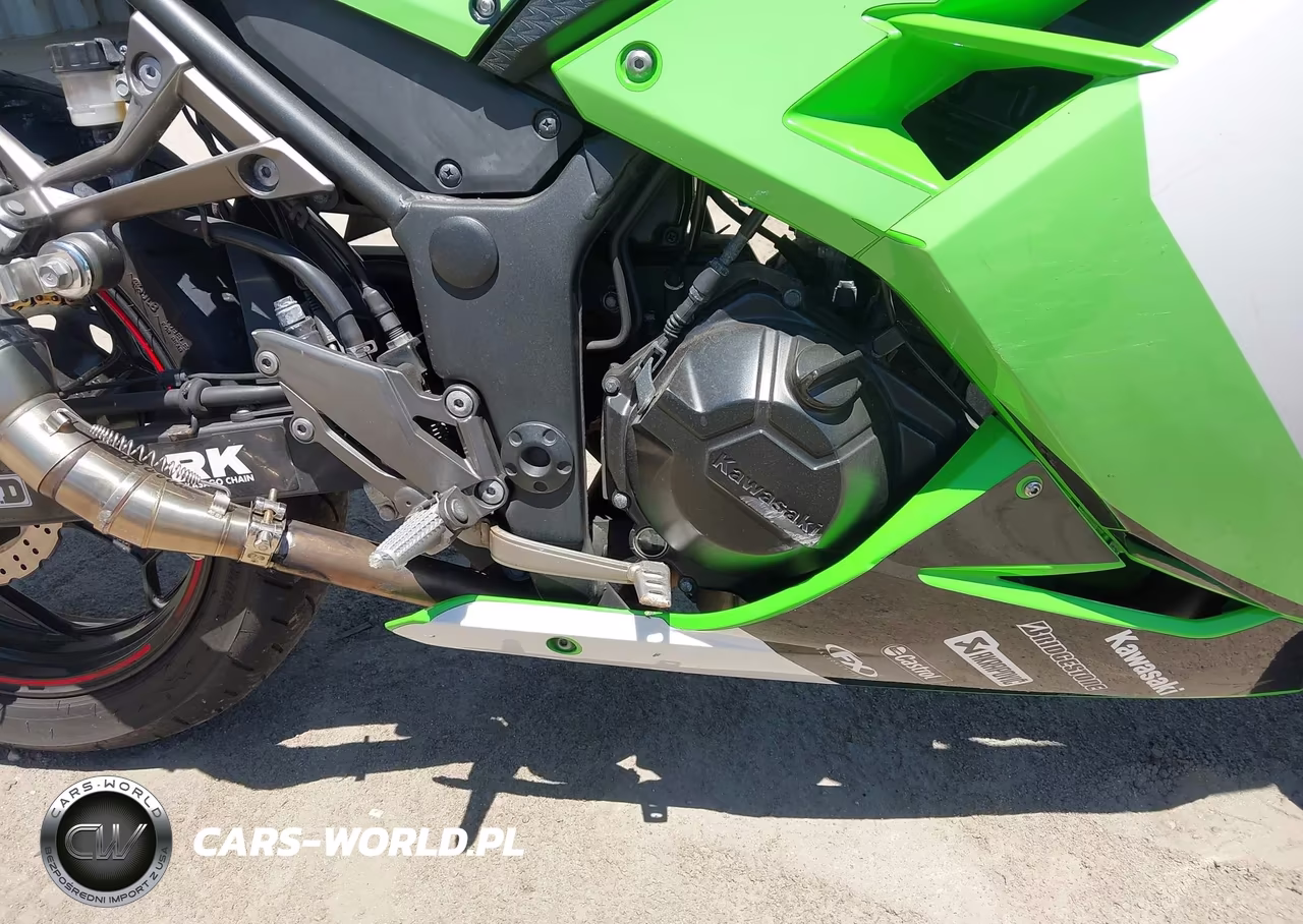 2014 Kawasaki Ex300 B VIN:JKAEX8B10EA007564 - 8