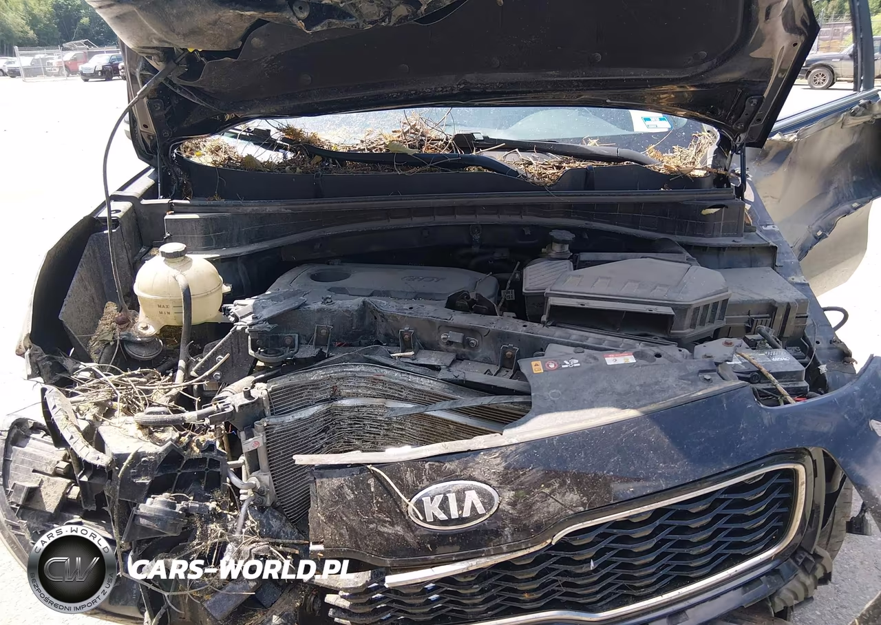 2019 Kia Sportage Ex VIN:KNDPNCAC3K7527891 - 10