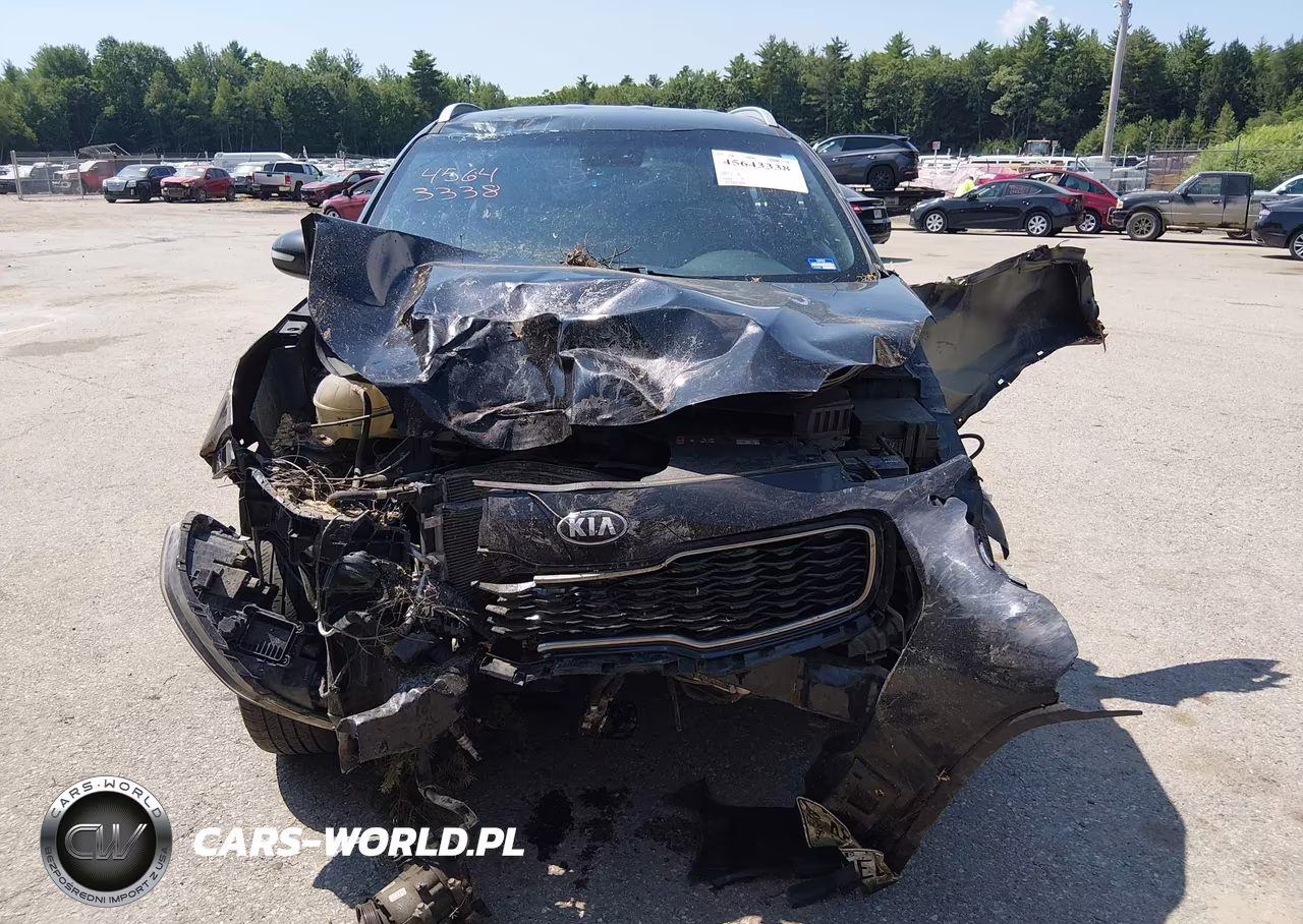 2019 Kia Sportage Ex VIN:KNDPNCAC3K7527891 - 13