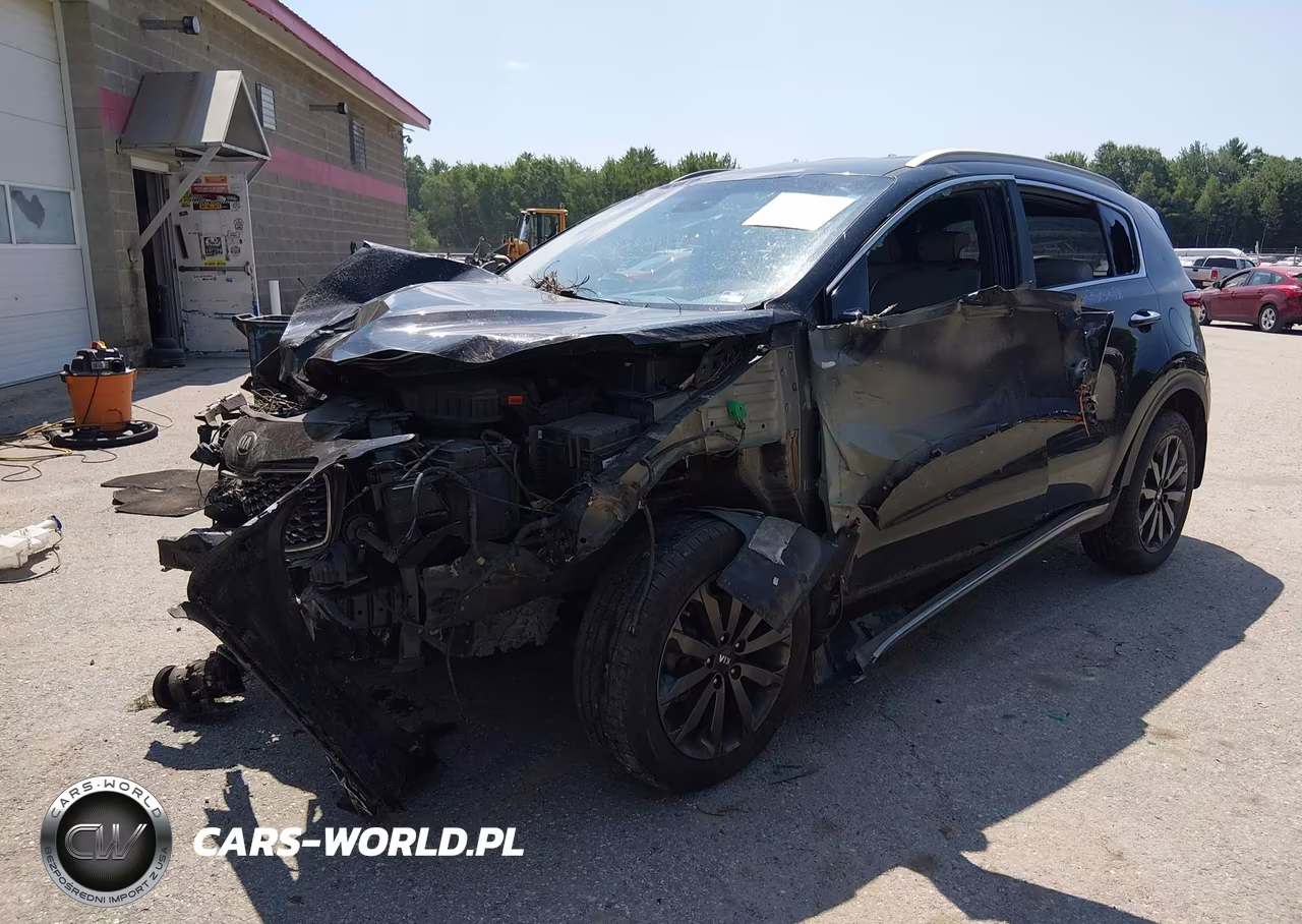 2019 Kia Sportage Ex VIN:KNDPNCAC3K7527891 - 2