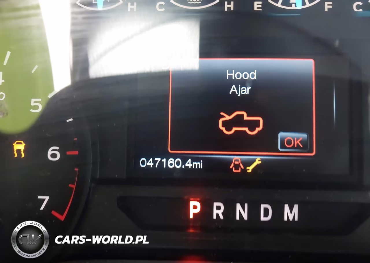 2019 Ford F-150 Xl VIN:1FTEX1EP7KKF01973 - 7