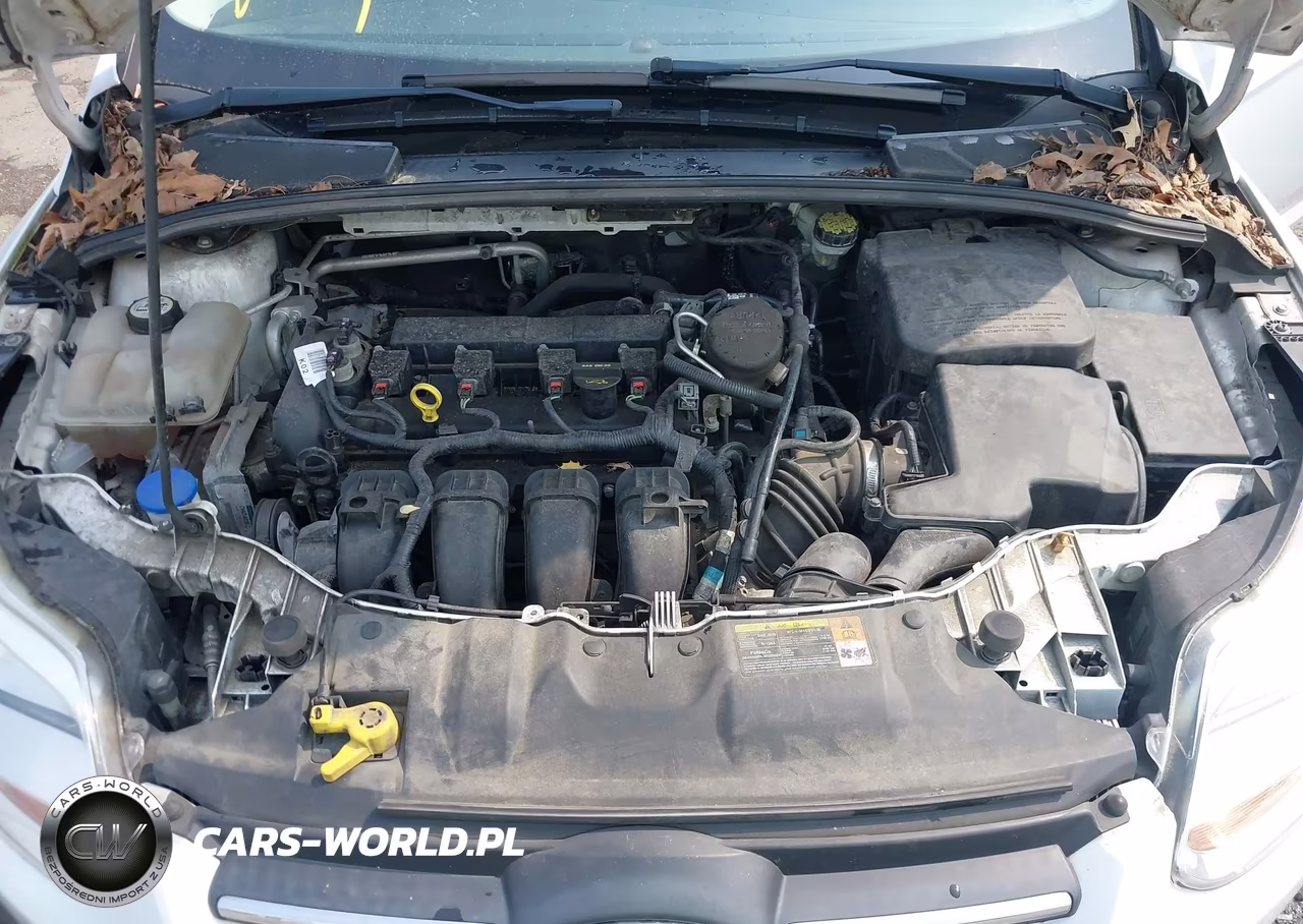 2013 Ford Focus S VIN:1FADP3E25DL142766 - 10
