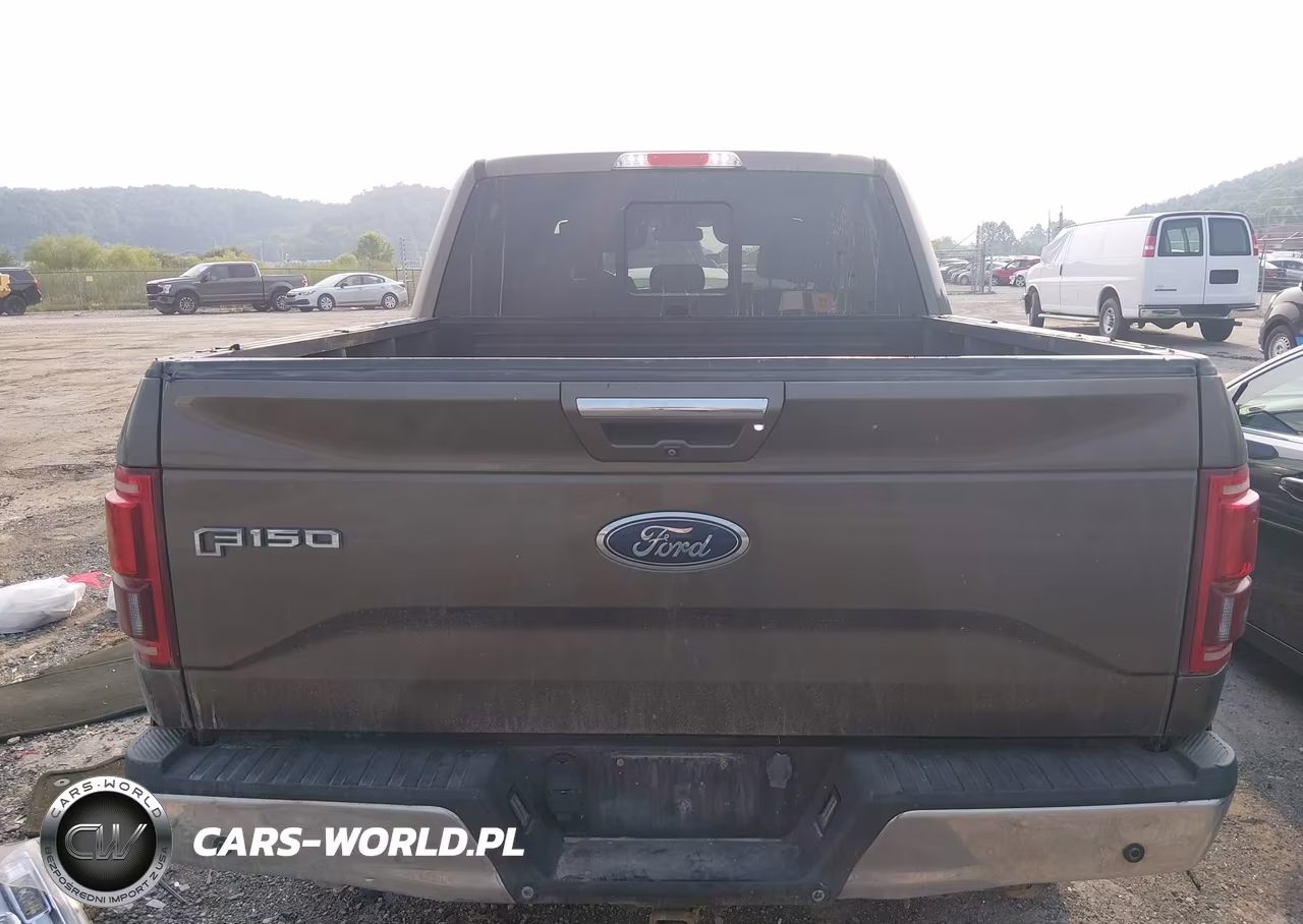 2015 Ford F-150 Lariat VIN:1FTEW1EG0FFB58019 - 17