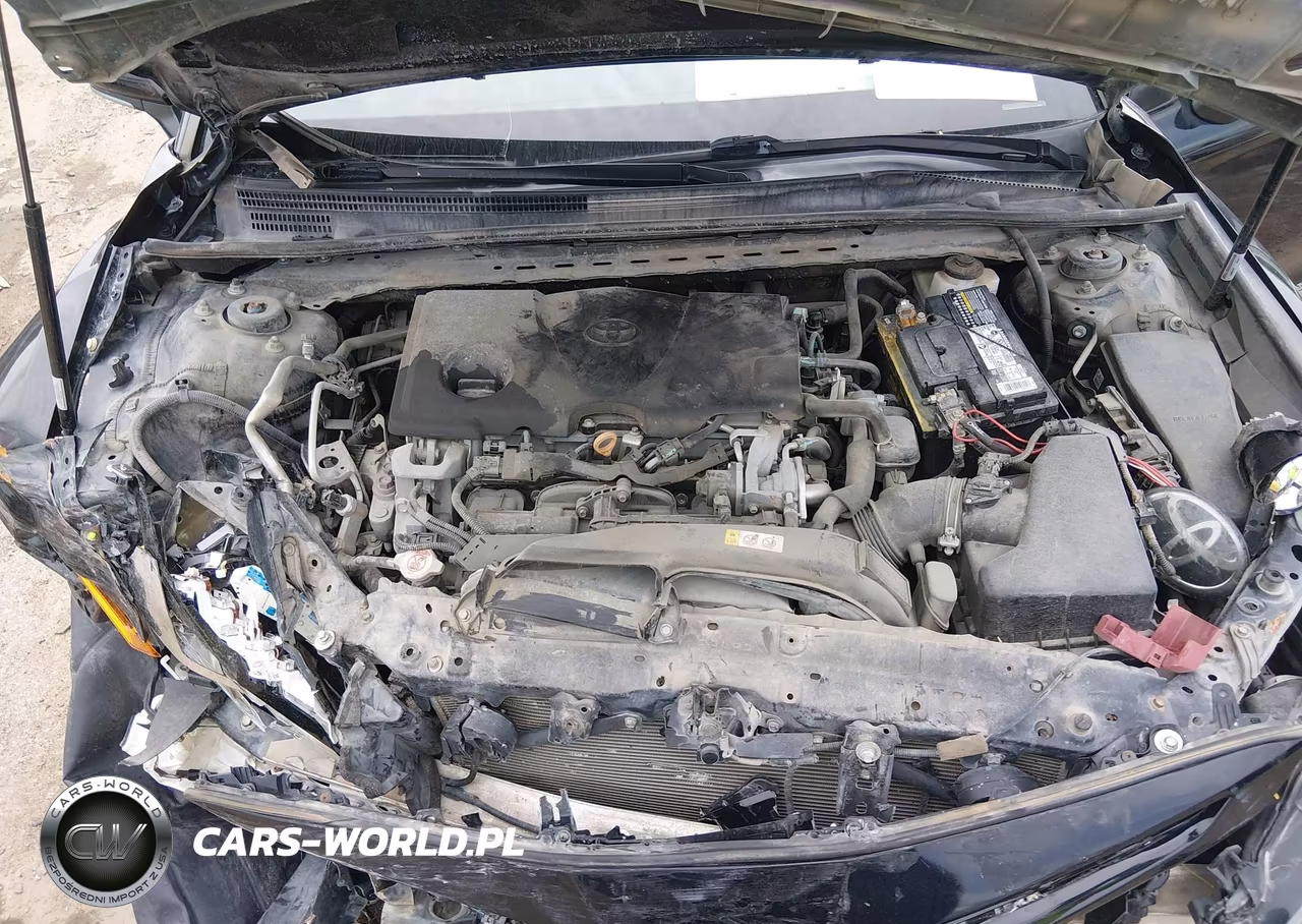 2019 Toyota Camry Xse VIN:4T1B61HK7KU166901 - 10