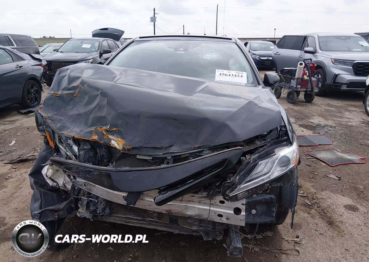 2019 Toyota Camry Xse VIN:4T1B61HK7KU166901 - 12
