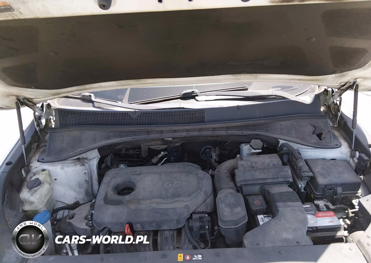 2018 Kia Sorento 2.4L Lx VIN:5XYPG4A38JG388116 - 10